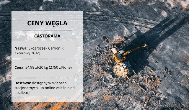 Ile kosztuje ekogroszek Castorama? Sprawdź ceny i opcje zakupu