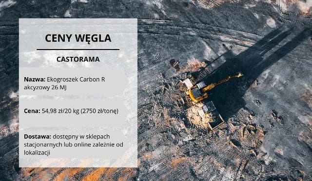 Ile kosztuje ekogroszek Castorama? Sprawdź ceny i opcje zakupu