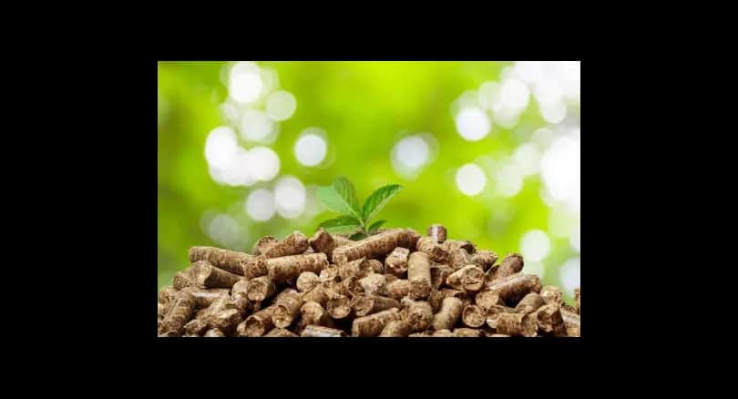 Czy pellet jest ekologiczny? Fakty i mity o zielonym paliwie