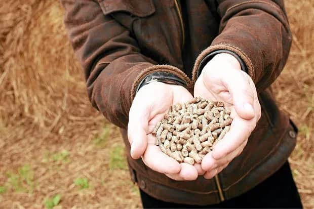 Kiedy pellet jest najtańszy? Oszczędzaj na ogrzewaniu w sezonie