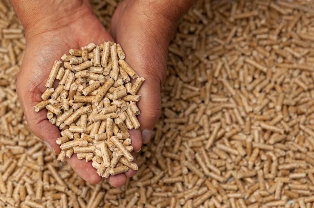 Pellet co to? Wszystko o ekologicznym paliwie przyszłości